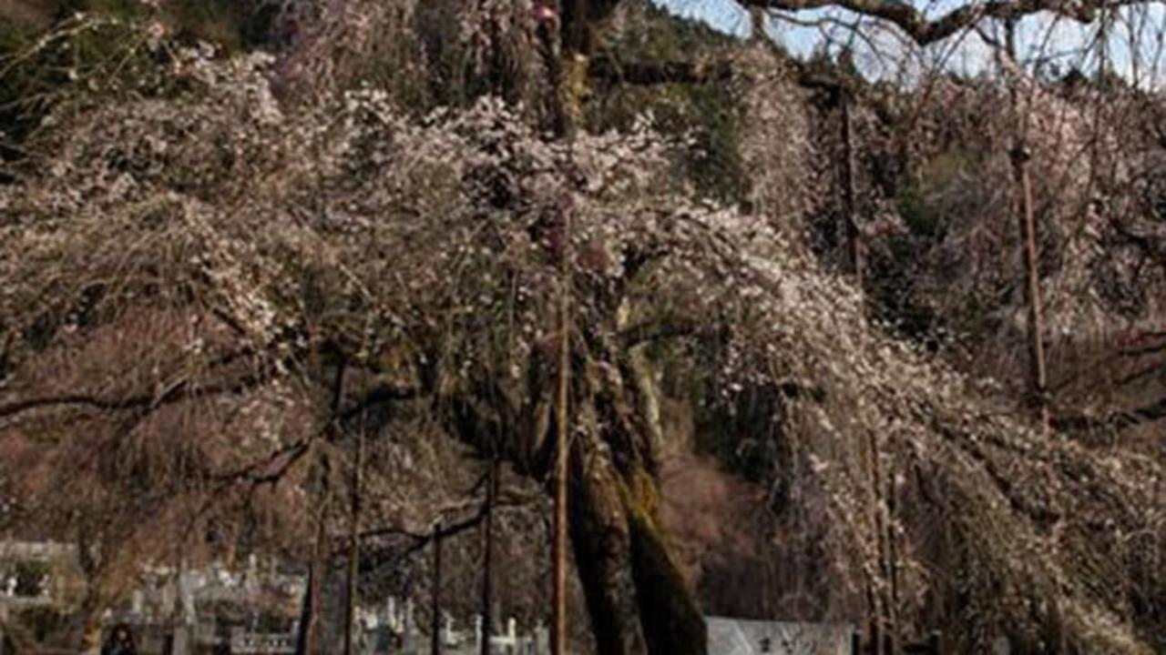 Kyukamura Oku-Musashi 飯能市 エクステリア 写真